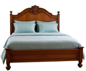 WhatsApp Image 2025-11-29 at 3.42.28 PM